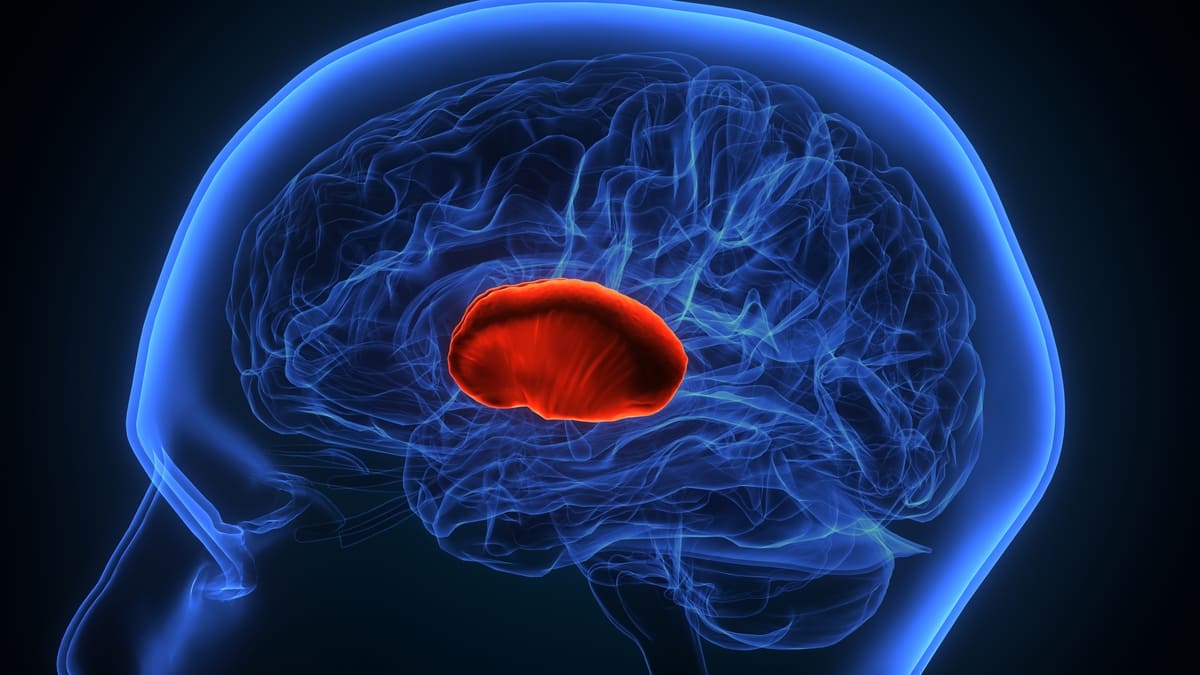 Tratamiento de Tumores Cerebrales en Coyoacán: Especialistas en Neurocirugía